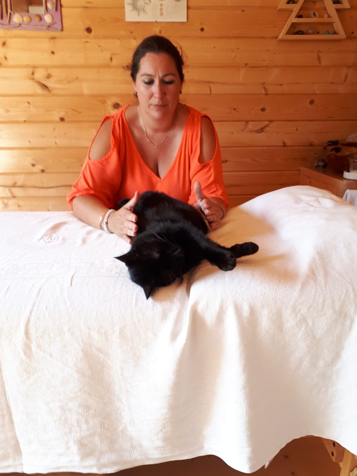 Soins animaux 1